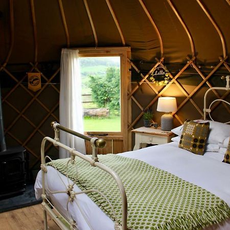 Sunbank Accommodation Лланголлен Экстерьер фото