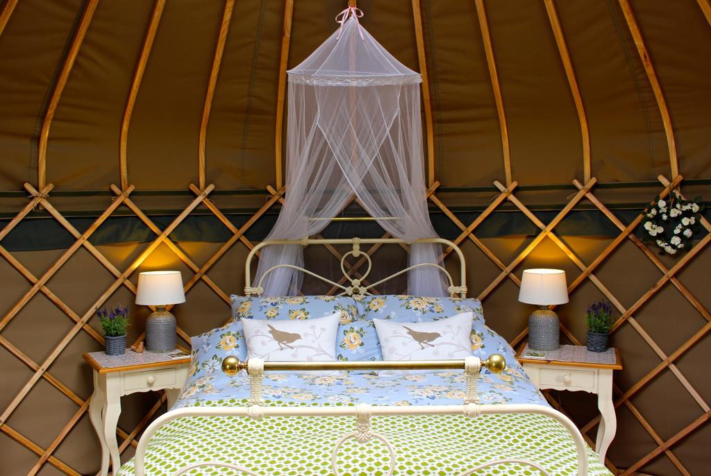 Sunbank Accommodation Лланголлен Экстерьер фото